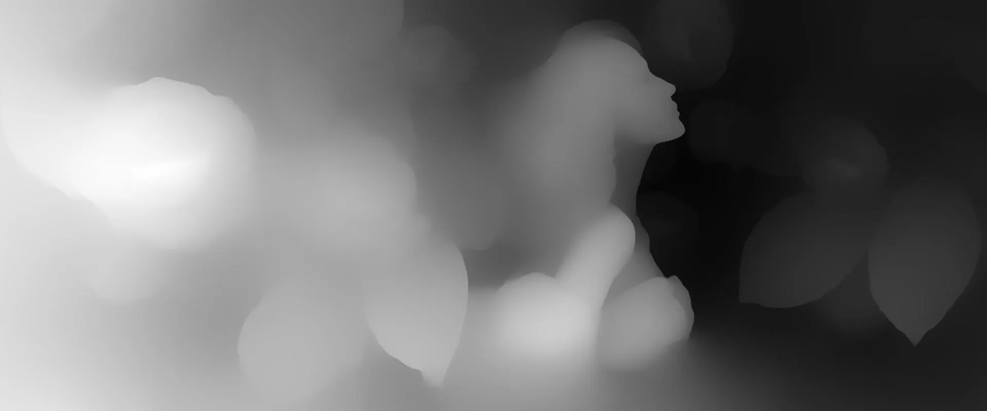 A depth visualization of the source image, with a brighter foreground and darker background