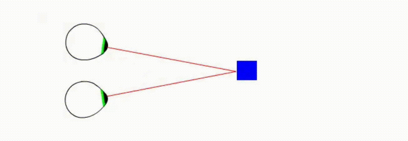 A diagram of two eyes viewing the same object from different positions